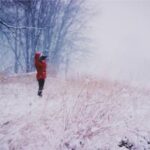 2017温网纳达尔激战全程高清直播精彩不容错过 1wy6xlam5