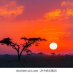 2017赛季中超焦点战恒大对阵鲁能直播实况回顾 822z3htt