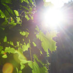 2017赛季中超联赛全程高清直播精彩对决 b7nbhi5lb