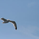 3d开奖结果组六最新精准预测与分析 o40v9l48xx